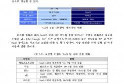 지식경제 기술혁신사업(SaaS 활성화 기반구축 사업) 연차보고서