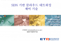 SDN 기반 클라우드 네트워킹 제어 기술