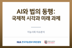 AI와 법의 동행: 국제적 시각과 미래 과제